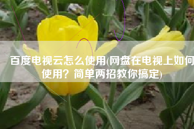 百度电视云怎么使用(网盘在电视上如何使用？简单两招教你搞定)