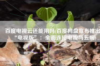 百度电视云还能用吗(百度网盘宣布推出“电视版”：全面连接电视与云端)