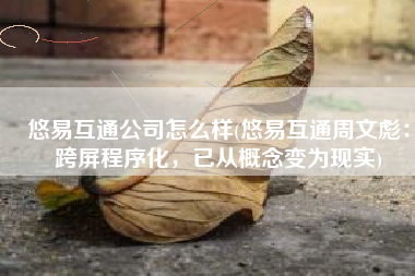 悠易互通公司怎么样(悠易互通周文彪：跨屏程序化，已从概念变为现实)