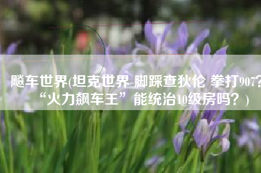 飚车世界(坦克世界 脚踩查狄伦 拳打907？“火力飙车王”能统治10级房吗？)