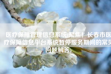 医疗保障管理信息系统(聚焦！长春市医疗保障信息平台系统暂停服务期间的常见问题解答)