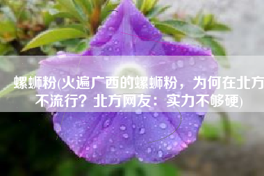螺蛳粉(火遍广西的螺蛳粉，为何在北方不流行？北方网友：实力不够硬)