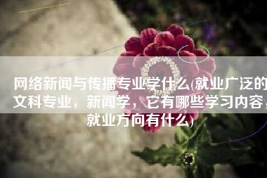 网络新闻与传播专业学什么(就业广泛的文科专业，新闻学，它有哪些学习内容，就业方向有什么)