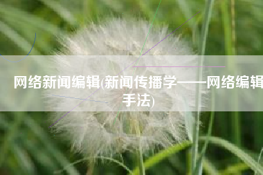 网络新闻编辑(新闻传播学——网络编辑手法)