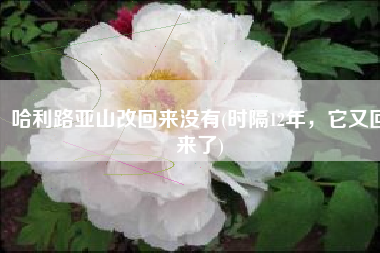 哈利路亚山改回来没有(时隔12年，它又回来了)