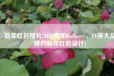 新年红包图片(2022虎年Burberry、LV等大品牌的新年红包设计)