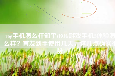 rog手机怎么样知乎(ROG游戏手机5体验怎么样？首发到手使用几天，这几点确实很赞)