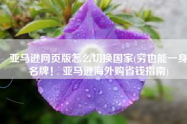 亚马逊网页版怎么切换国家(穷也能一身名牌！ 亚马逊海外购省钱指南)