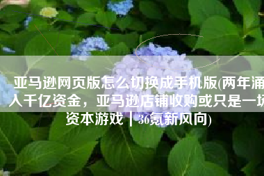 亚马逊网页版怎么切换成手机版(两年涌入千亿资金，亚马逊店铺收购或只是一场资本游戏｜36氪新风向)