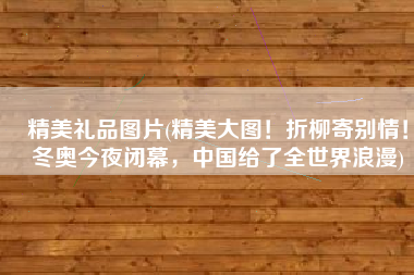 精美礼品图片(精美大图！折柳寄别情！冬奥今夜闭幕，中国给了全世界浪漫)