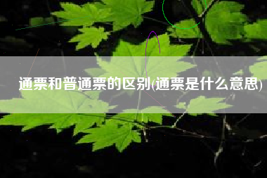 通票和普通票的区别(通票是什么意思)
