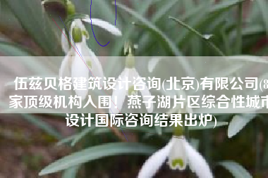 伍兹贝格建筑设计咨询(北京)有限公司(8家顶级机构入围！燕子湖片区综合性城市设计国际咨询结果出炉)