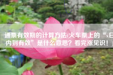 通票有效期的计算方法(火车票上的“x日内到有效”是什么意思？看完涨见识！)