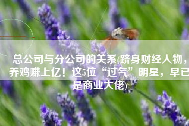 总公司与分公司的关系(跻身财经人物，养鸡赚上亿！这5位“过气”明星，早已是商业大佬)