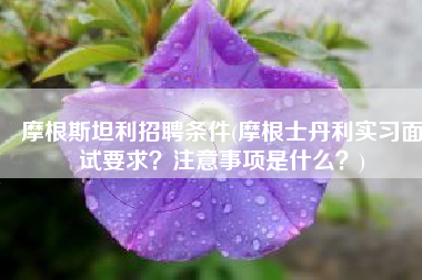 摩根斯坦利招聘条件(摩根士丹利实习面试要求？注意事项是什么？)