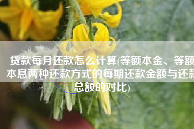贷款每月还款怎么计算(等额本金、等额本息两种还款方式的每期还款金额与还款总额的对比)