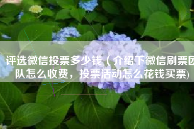 评选微信投票多少钱（介绍下微信刷票团队怎么收费，投票活动怎么花钱买票)