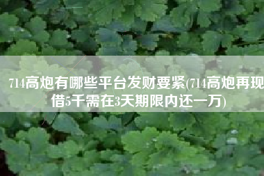 714高炮有哪些平台发财要紧(714高炮再现！借5千需在3天期限内还一万)