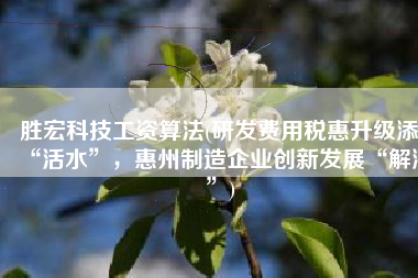 胜宏科技工资算法(研发费用税惠升级添“活水”，惠州制造企业创新发展“解渴”)