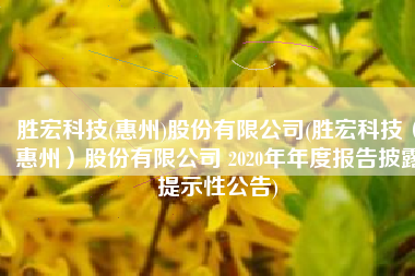 胜宏科技(惠州)股份有限公司(胜宏科技（惠州）股份有限公司 2020年年度报告披露提示性公告)