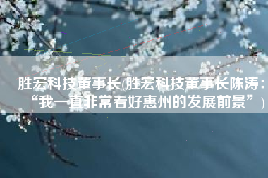 胜宏科技董事长(胜宏科技董事长陈涛：“我一直非常看好惠州的发展前景”)