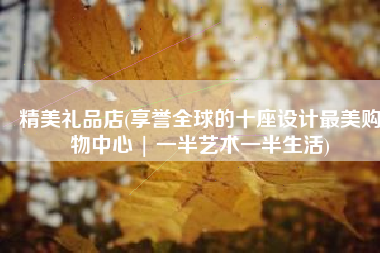 精美礼品店(享誉全球的十座设计最美购物中心 | 一半艺术一半生活)