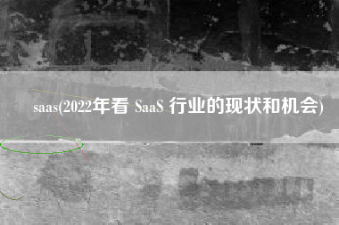 saas(2022年看 SaaS 行业的现状和机会)