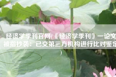 经济学季刊官网(《经济学季刊》一论文被指抄袭：已交第三方机构进行比对鉴定)