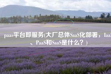 paas平台即服务(大厂总体SaaS化部署，IaaS、PaaS和SaaS是什么？)