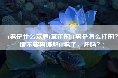 it男是什么意思(真正的IT男是怎么样的？请不要再误解IT男了，好吗？)