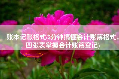 账本记账格式(5分钟搞懂会计账簿格式，四张表掌握会计账簿登记)