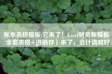 账本表格模板(它来了！Excel财务帐模板（全套表格+进销存）来了，会计请收好)