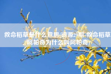 救命稻草是什么意思(词源29期-救命稻草-阿帕奇为什么叫阿帕奇)