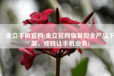 金立手机官网(金立官网恢复但全产品下架，或转让手机业务)