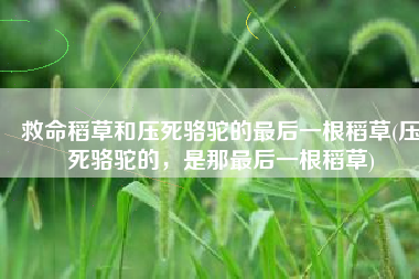 救命稻草和压死骆驼的最后一根稻草(压死骆驼的，是那最后一根稻草)