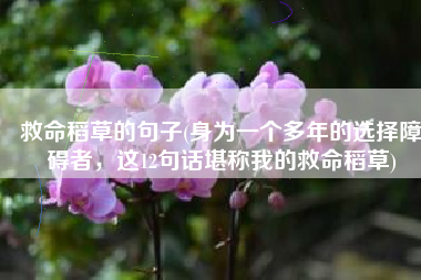救命稻草的句子(身为一个多年的选择障碍者，这12句话堪称我的救命稻草)