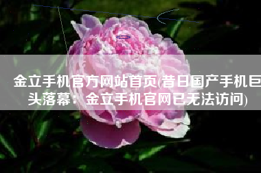 金立手机官方网站首页(昔日国产手机巨头落幕：金立手机官网已无法访问)