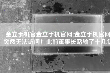金立手机官金立手机官网(金立手机官网突然无法访问！此前董事长赌输了十几亿)