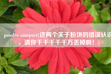 powder compact(这两个关于粉饼的错误认识，请你千千千千千万丢掉啊！)