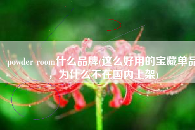 powder room什么品牌(这么好用的宝藏单品，为什么不在国内上架)