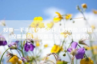 投票一千手续费多少钱（超低价10块钱1000投票真坑！投票平台哪个靠谱点？)