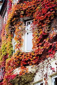 苹果官方旗舰店换电池价格：苹果旗舰店换电池价格