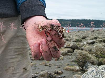 苹果xr官方换电池-苹果xr专卖换电池