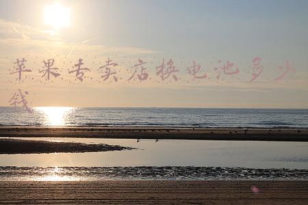 苹果专卖店换电池多少钱