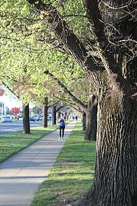 4s店换滤芯多少钱(4s店换机油滤芯多少钱)