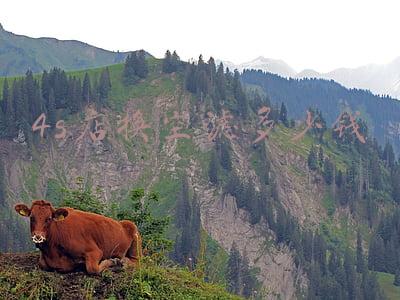 4s店换空气滤芯多少钱(4s店换空气滤芯多少钱一个)