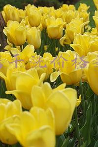 干洗店的价格，干洗店的价格一般多少