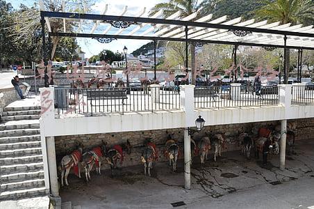 sk2神仙水免税店价格多少（sk2神仙水韩国免税店价格）