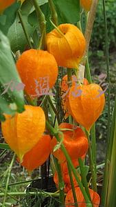 零食店加盟费一般多少 零食店加盟费一般多少钱