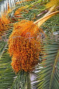 在县城开个洗车店需要多少钱：县城开洗车店一年能赚多钱